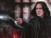 Sectumsempra Severus Snape