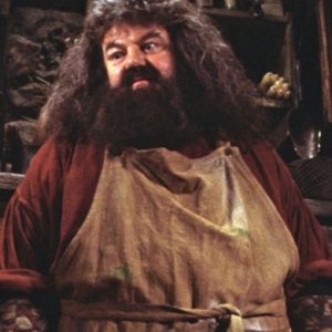 Rubeus Hagrid
